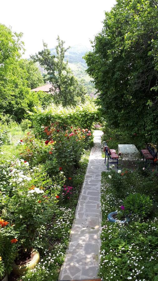 Hotel Mira Gorisz Kültér fotó