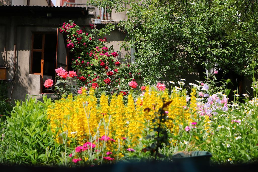 Hotel Mira Gorisz Kültér fotó
